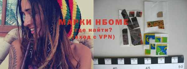 индика Рославль