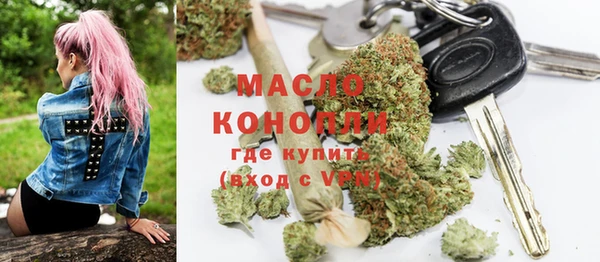 индика Рославль