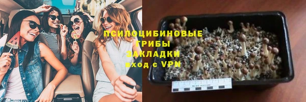 индика Рославль